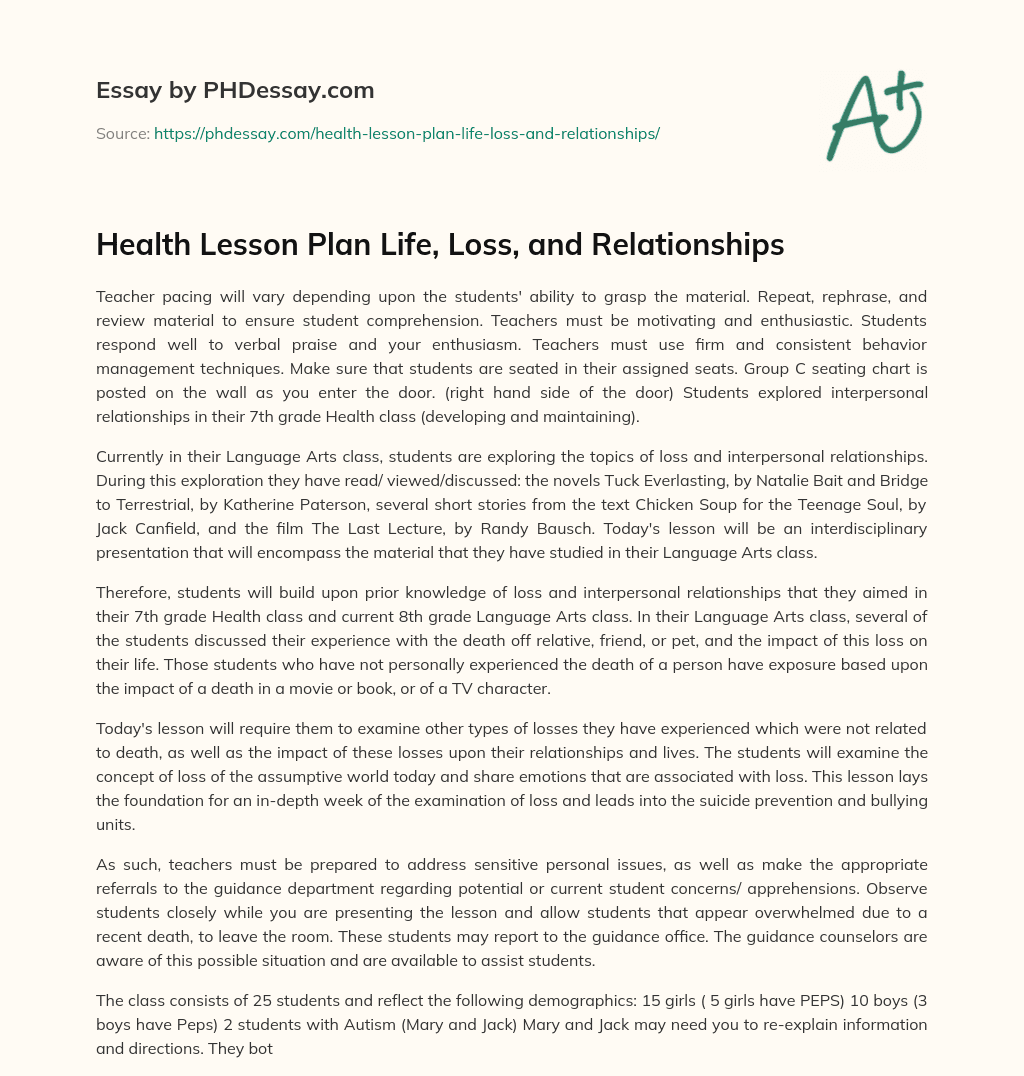 Health Lesson Plan   Life, Loss, and Relationships essay