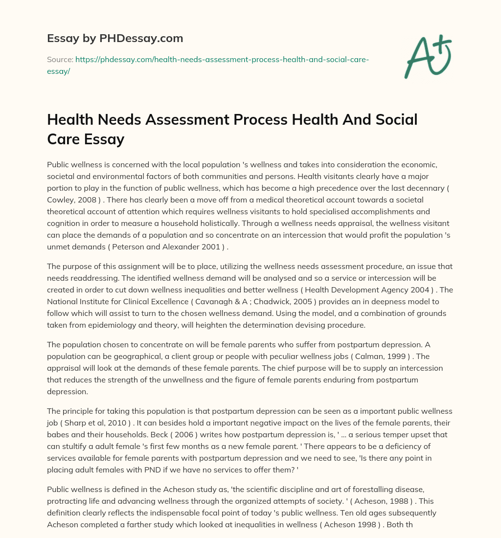 Health Needs Assessment Process Health And Social Care Essay essay