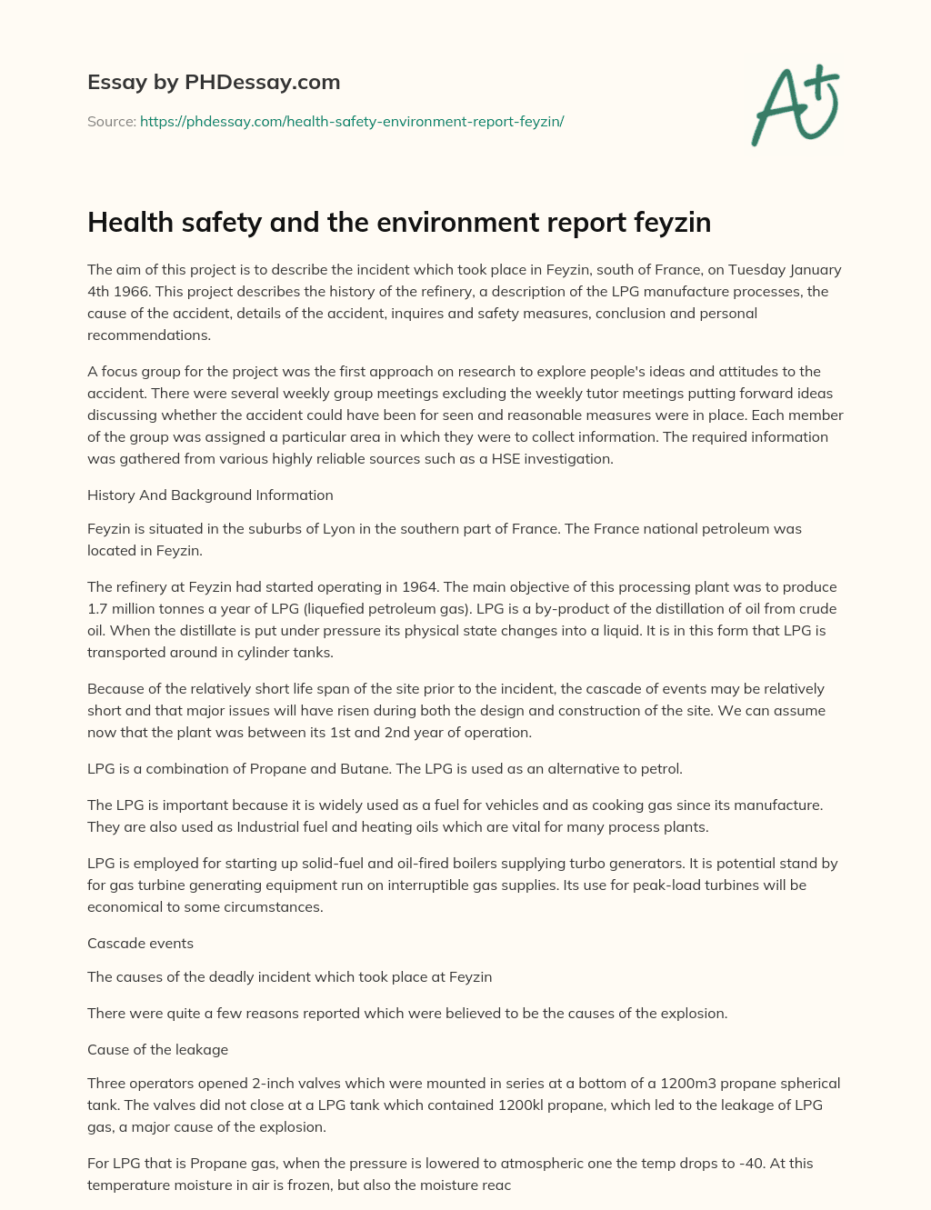 Health safety and the environment report feyzin essay