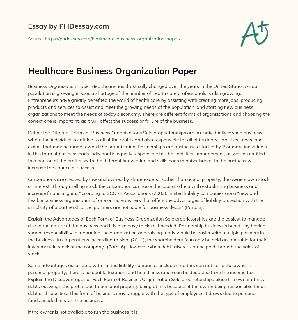 Healthcare Business Organization Paper essay
