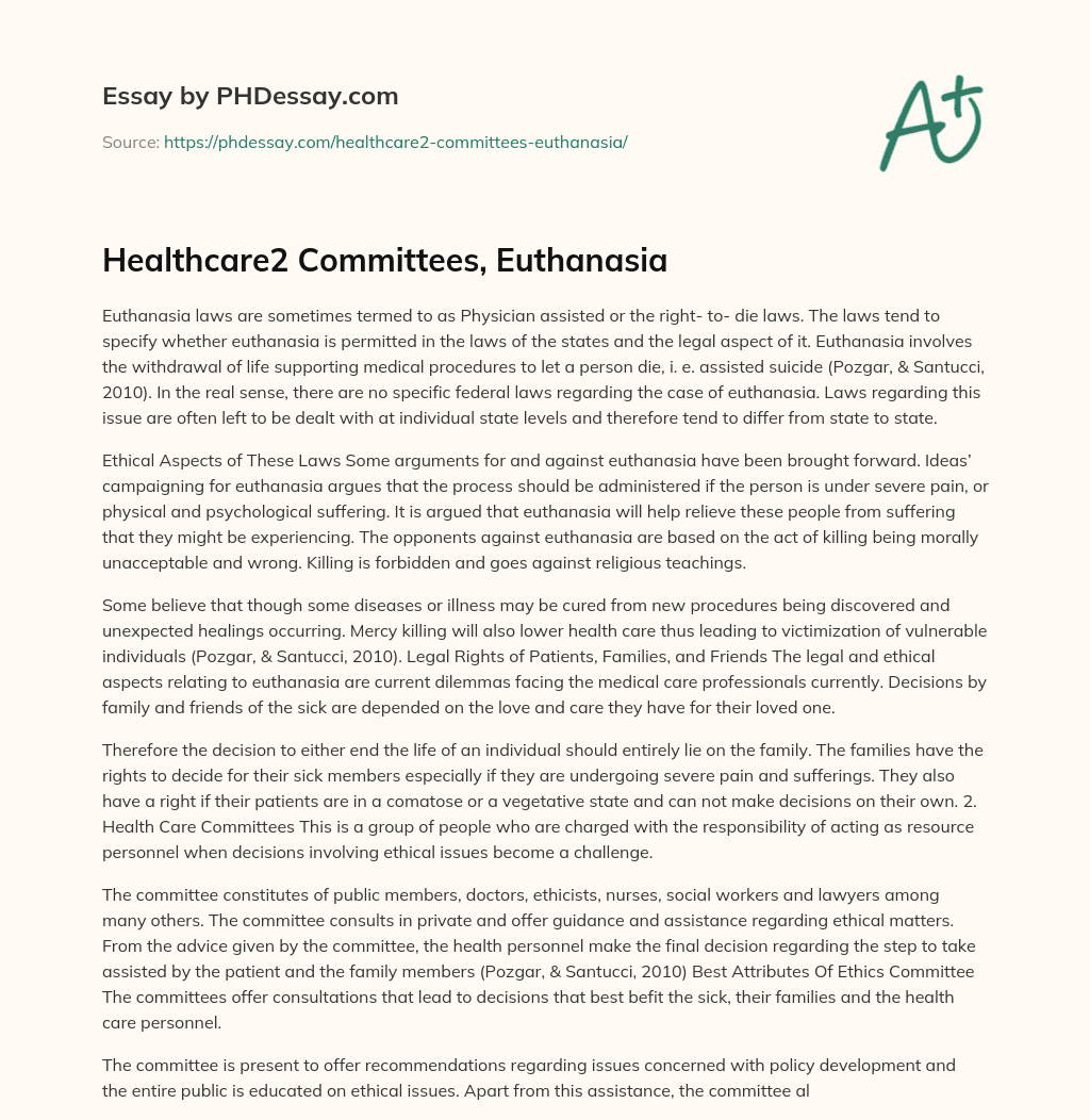 Healthcare2 Committees, Euthanasia essay