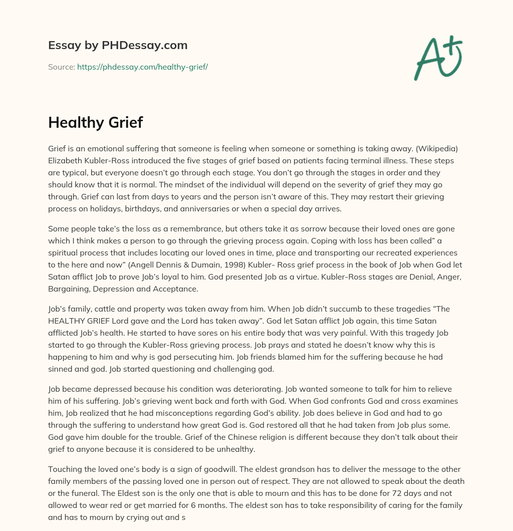 Healthy Grief essay
