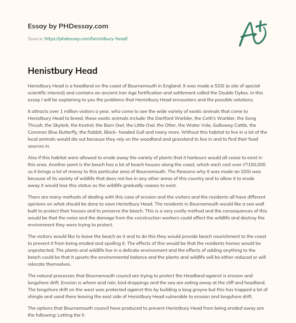 Henistbury Head essay
