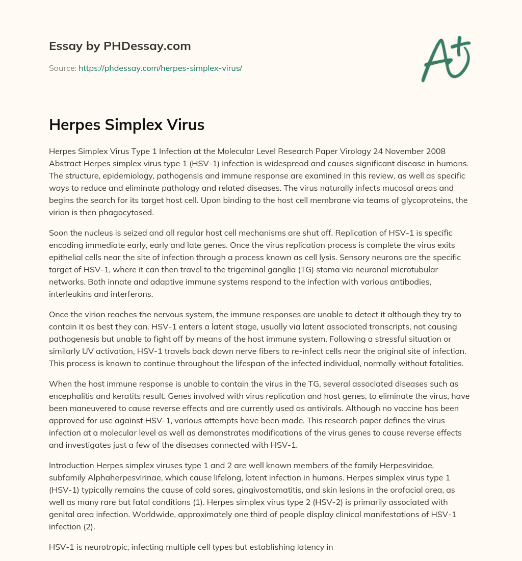 Herpes Simplex Virus essay
