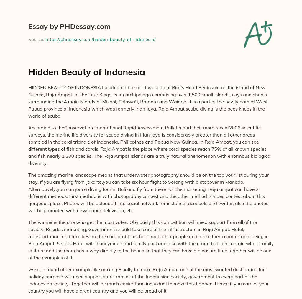 Hidden Beauty of Indonesia essay