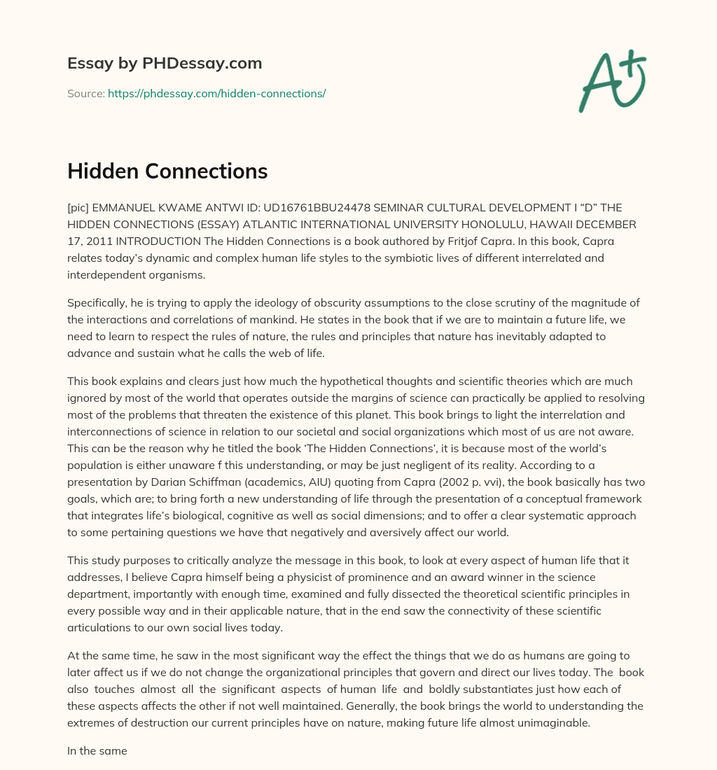 Hidden Connections essay