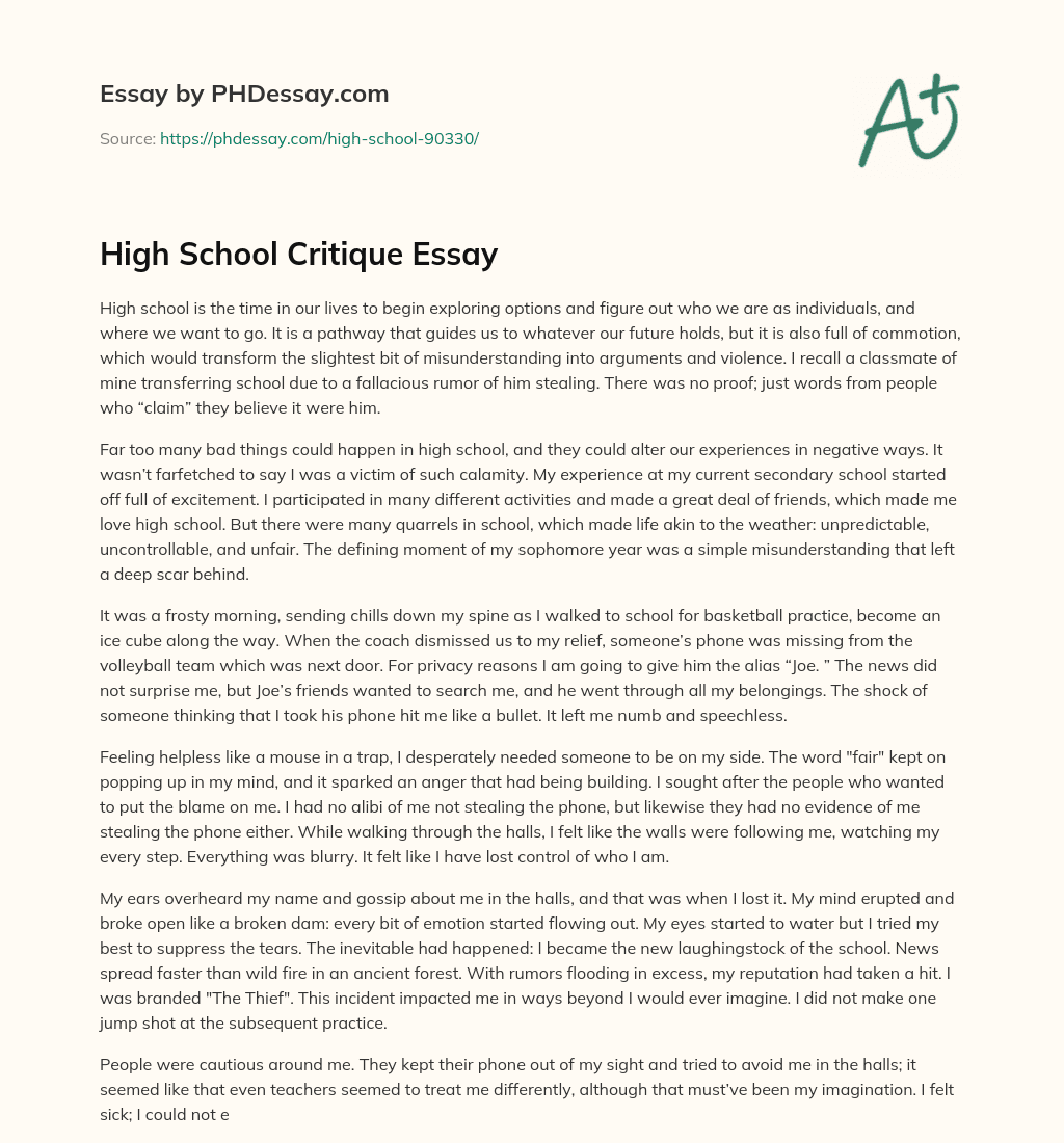 High School Critique Essay essay