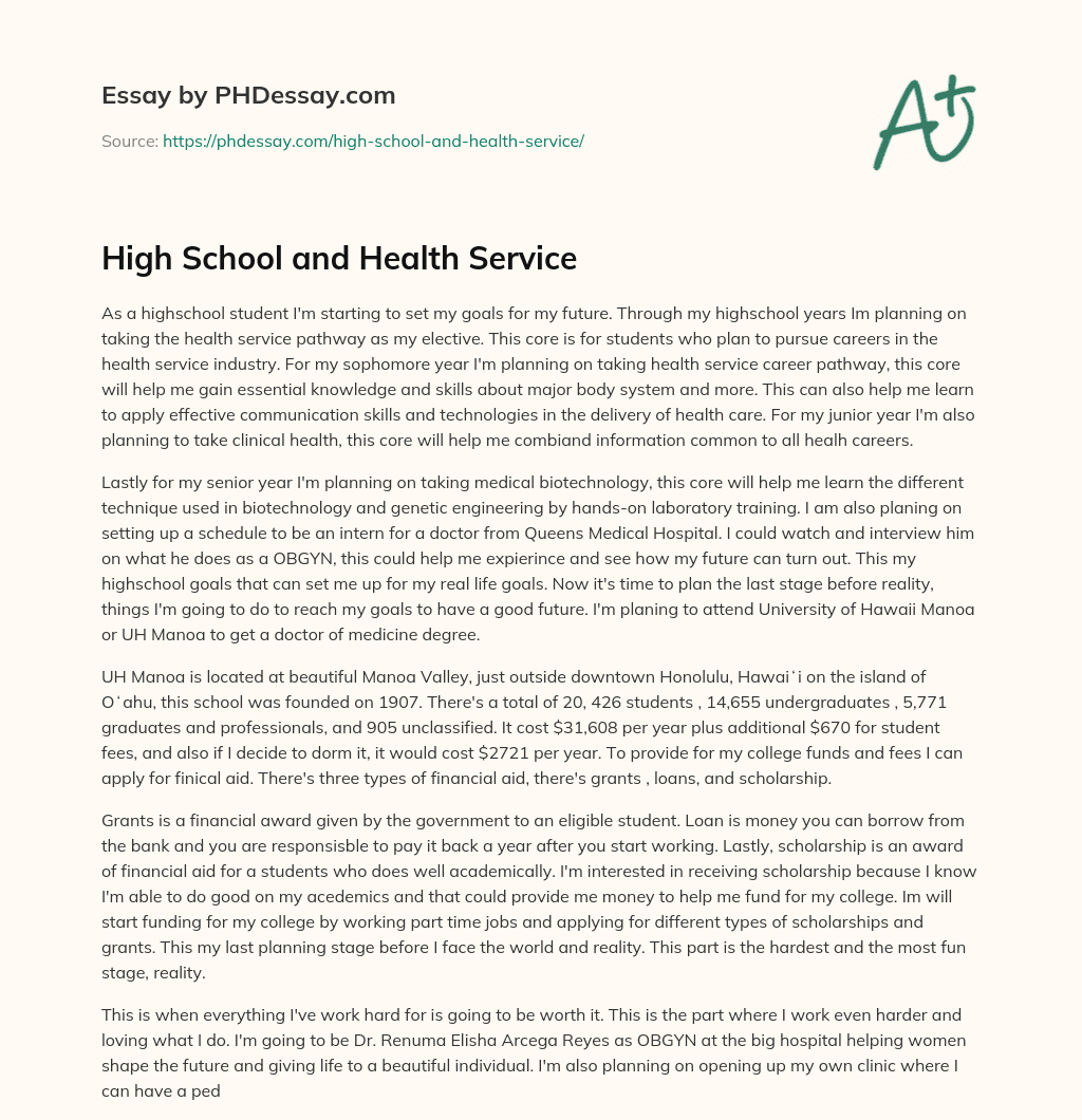 High School and Health Service essay