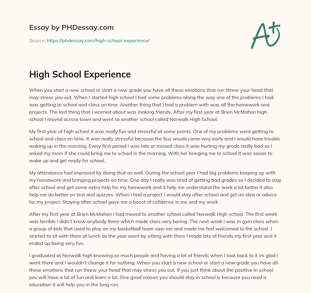 essay about your high school experience