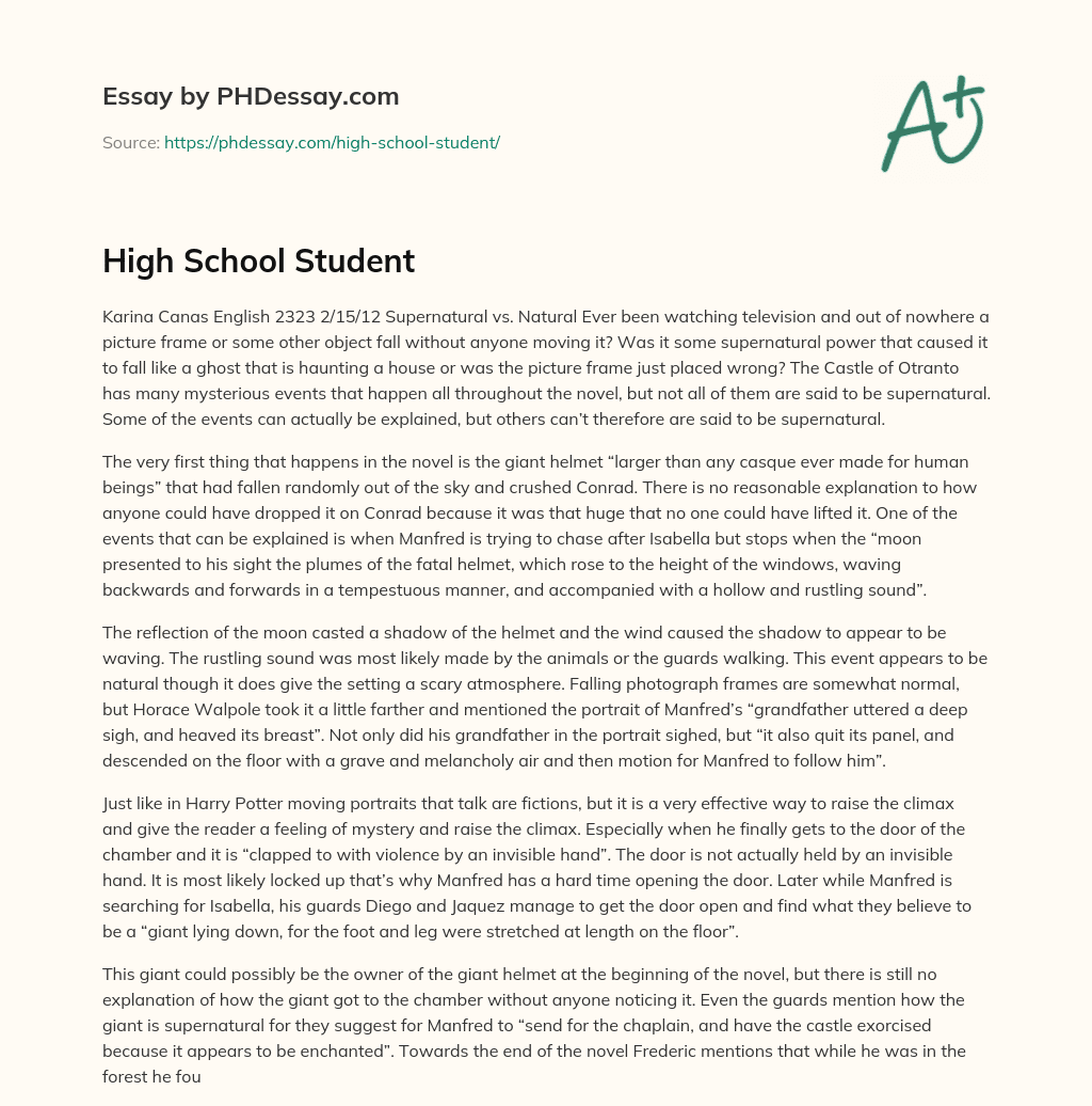 High School Student essay
