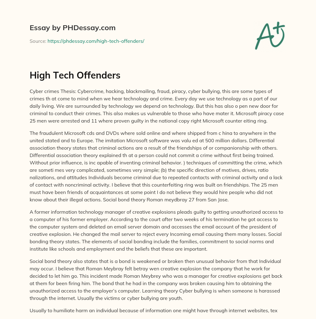 High Tech Offenders essay