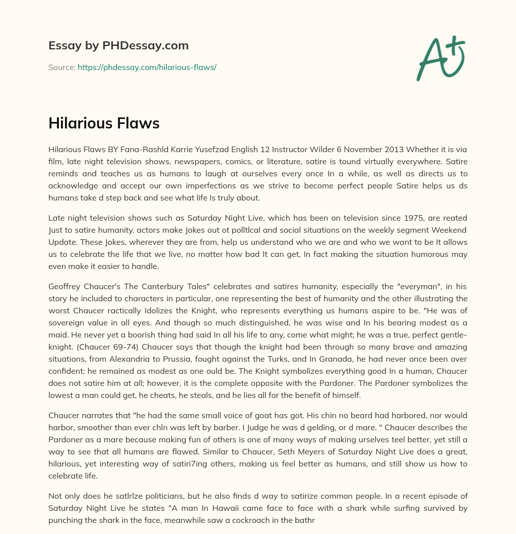 Hilarious Flaws essay