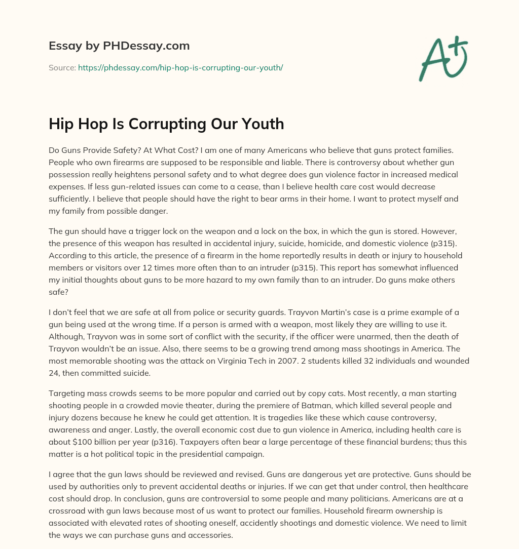 Hip Hop Is Corrupting Our Youth essay