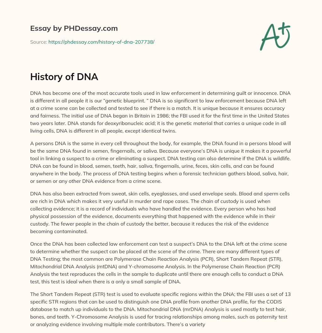 History of DNA essay