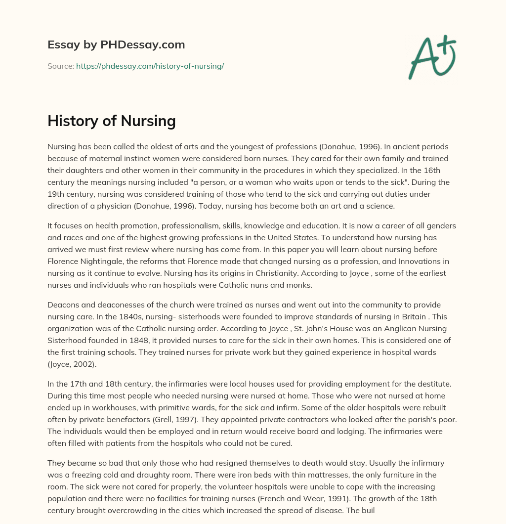 nursing history essay