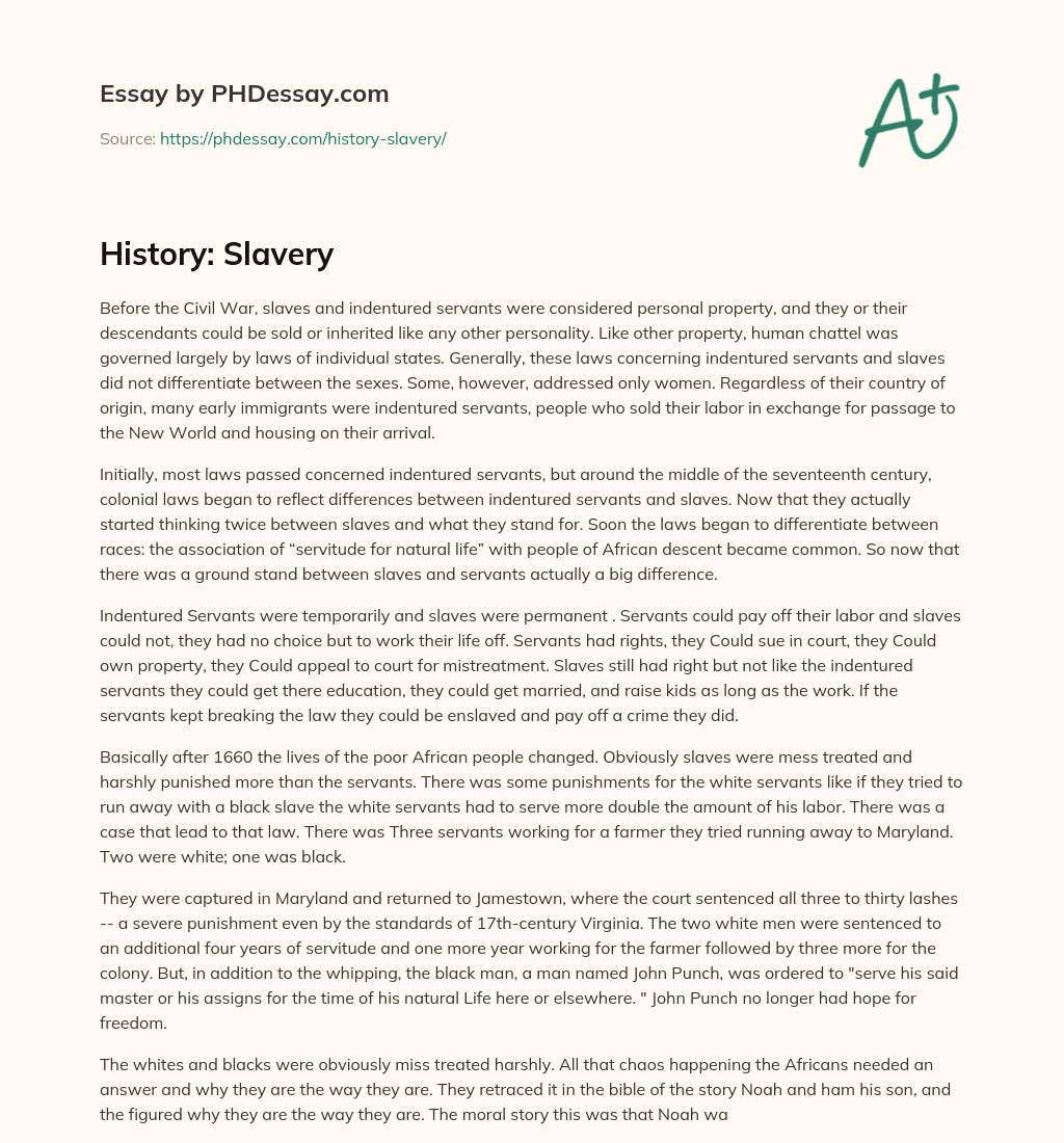 History: Slavery essay