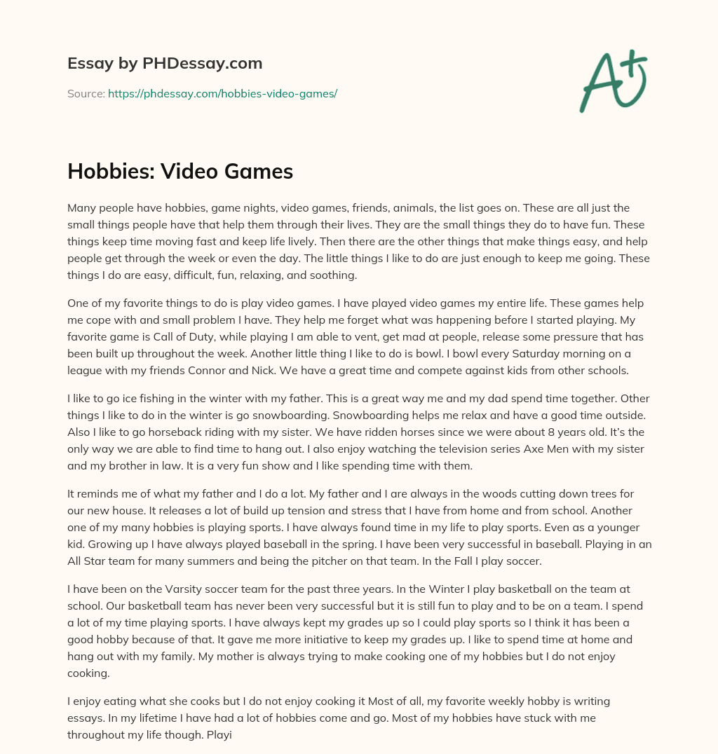 Hobbies: Video Games essay
