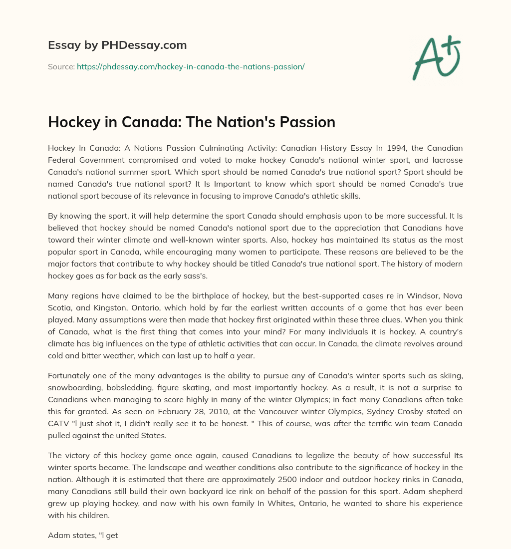 Hockey in Canada: The Nation’s Passion essay