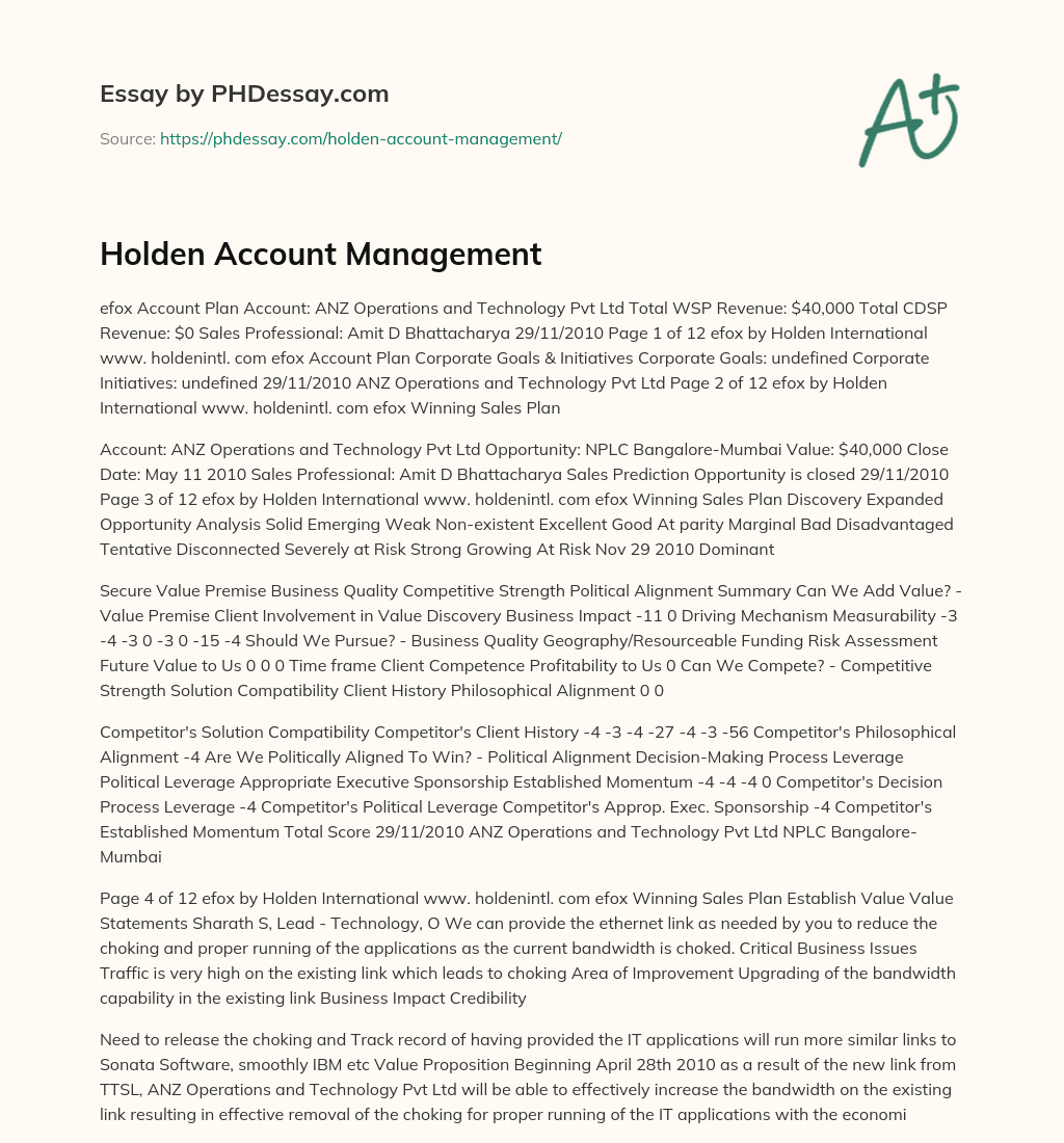Holden Account Management essay
