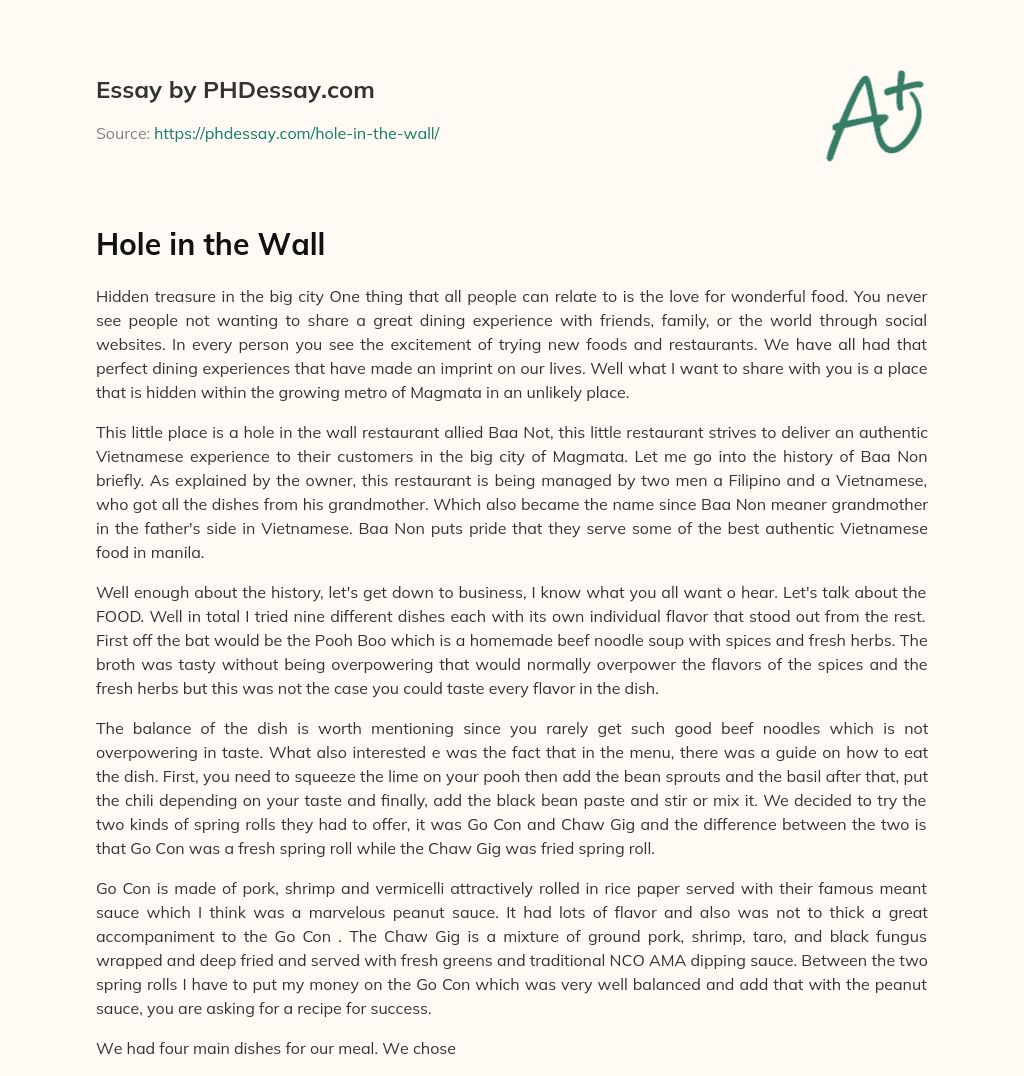 Hole in the Wall essay