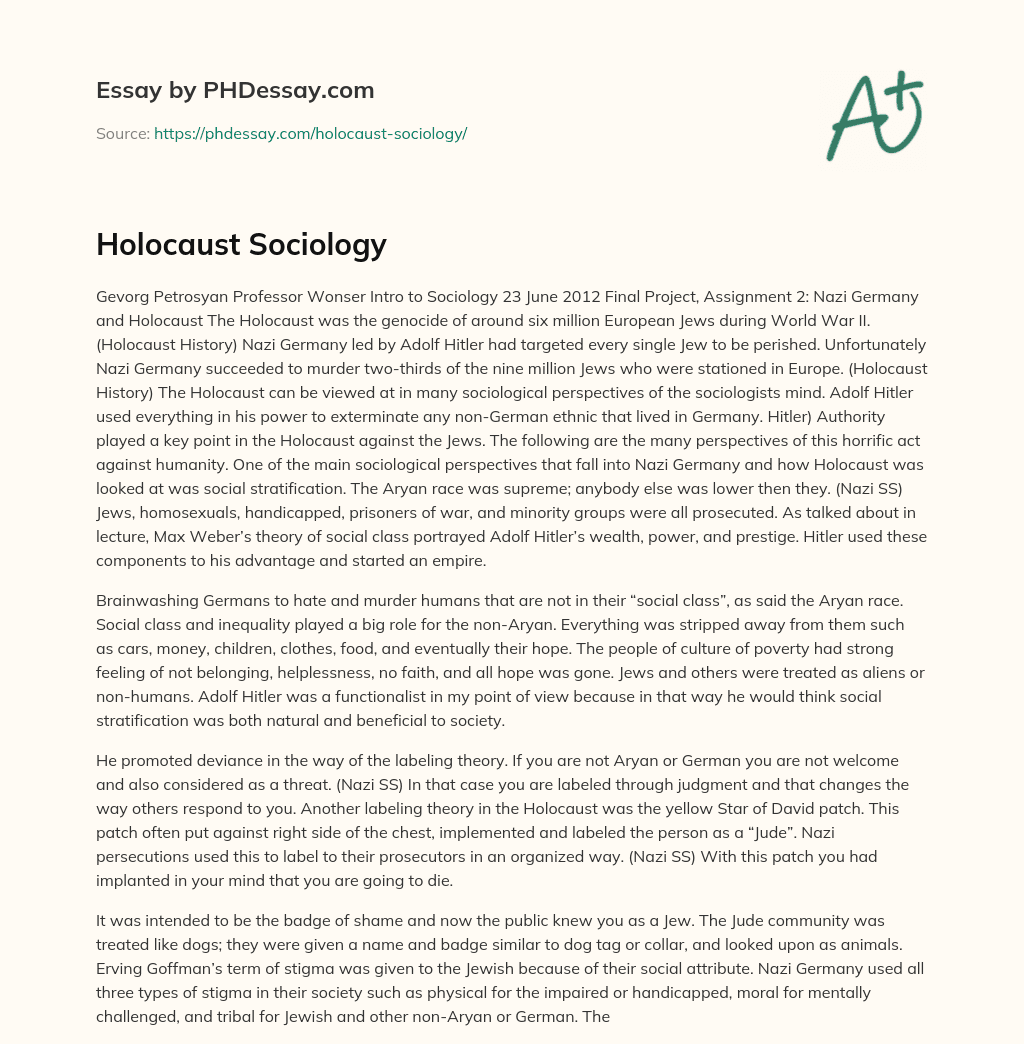Holocaust Sociology essay