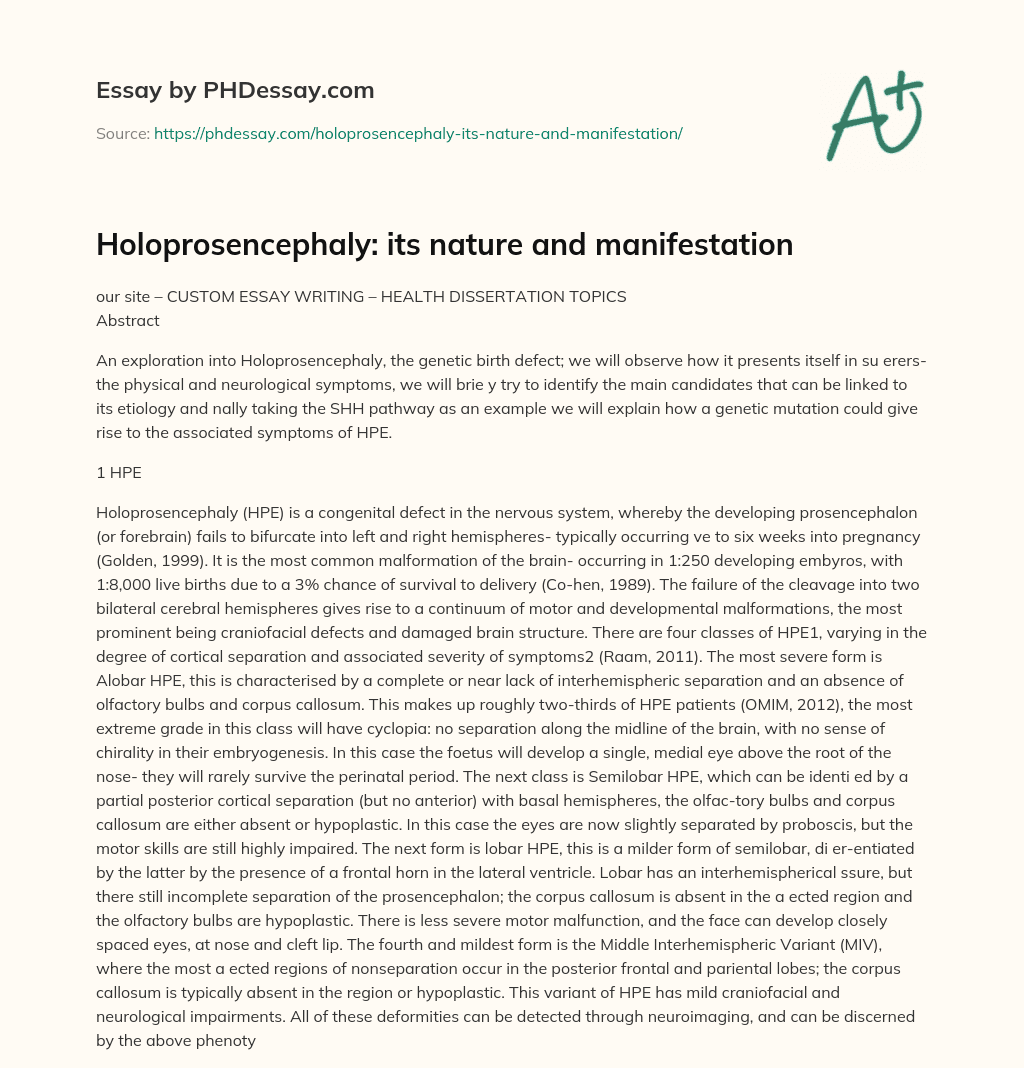 Holoprosencephaly: its nature and manifestation essay