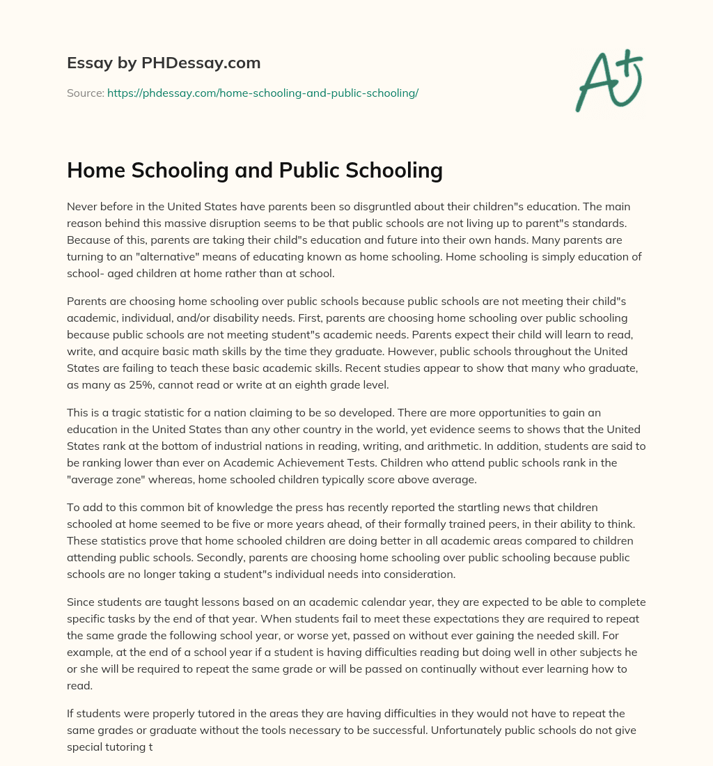 Home Schooling and Public Schooling essay