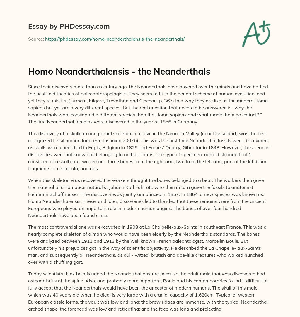 Homo Neanderthalensis – the Neanderthals essay