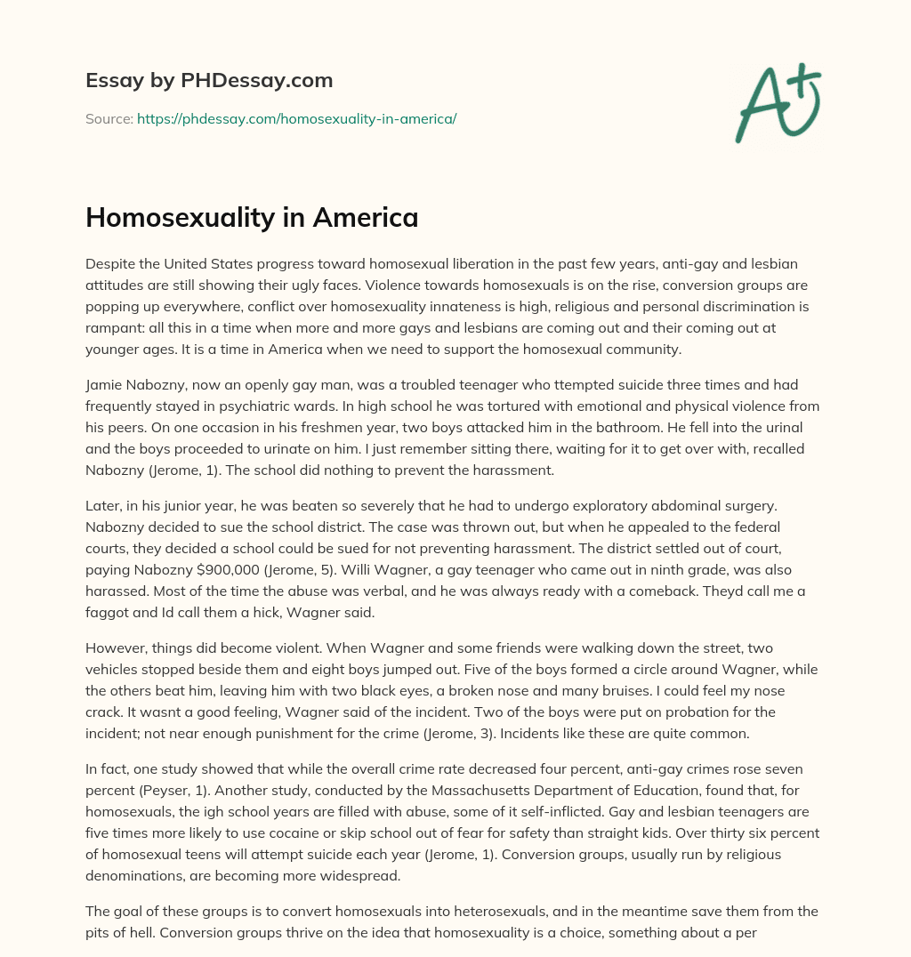 Homosexuality in America essay