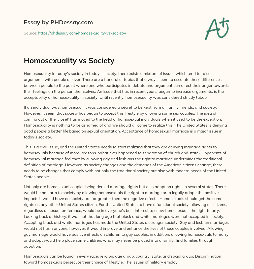 Homosexuality vs Society essay