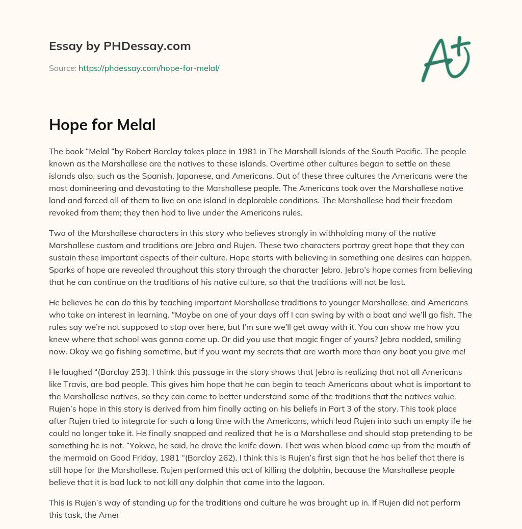 Hope for Melal essay