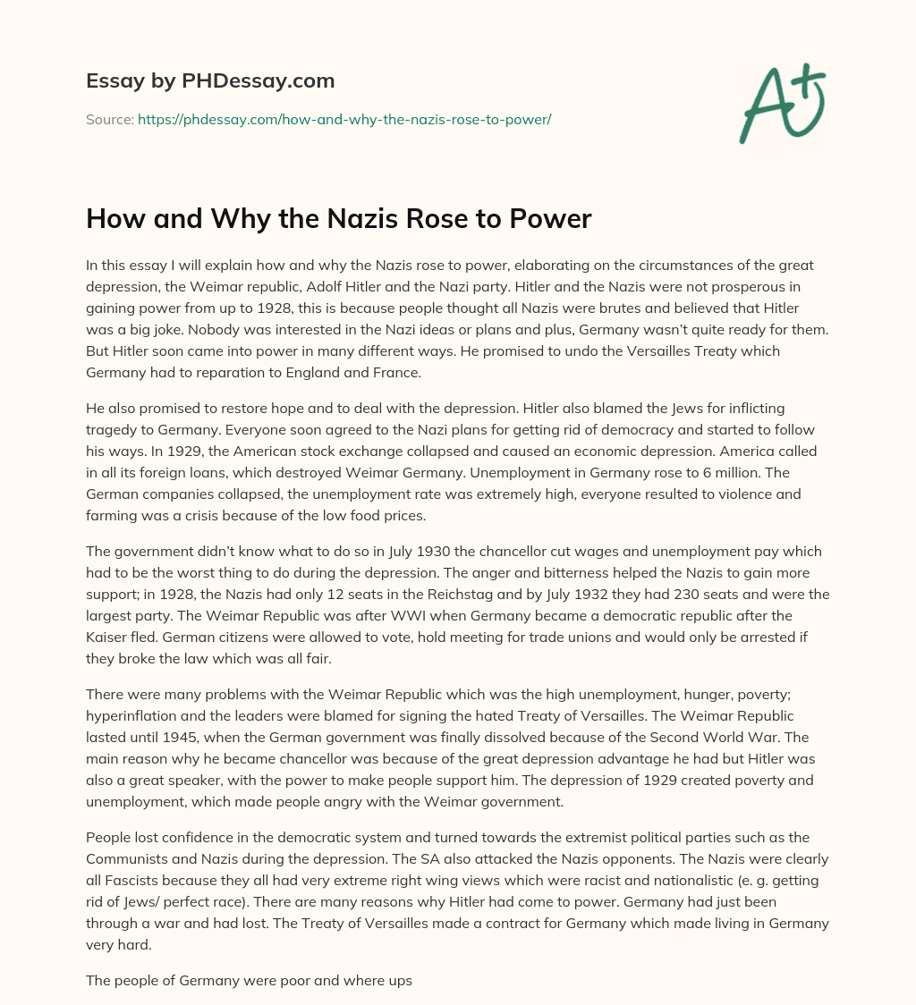 How and Why the Nazis Rose to Power essay
