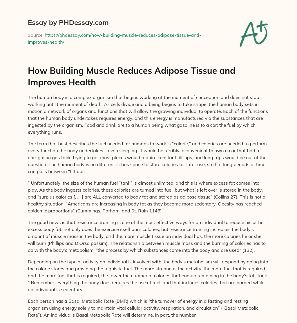 How Building Muscle Reduces Adipose Tissue and Improves Health essay