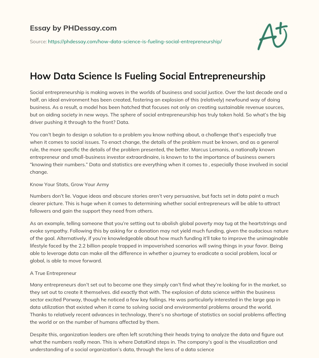 How Data Science Is Fueling Social Entrepreneurship essay