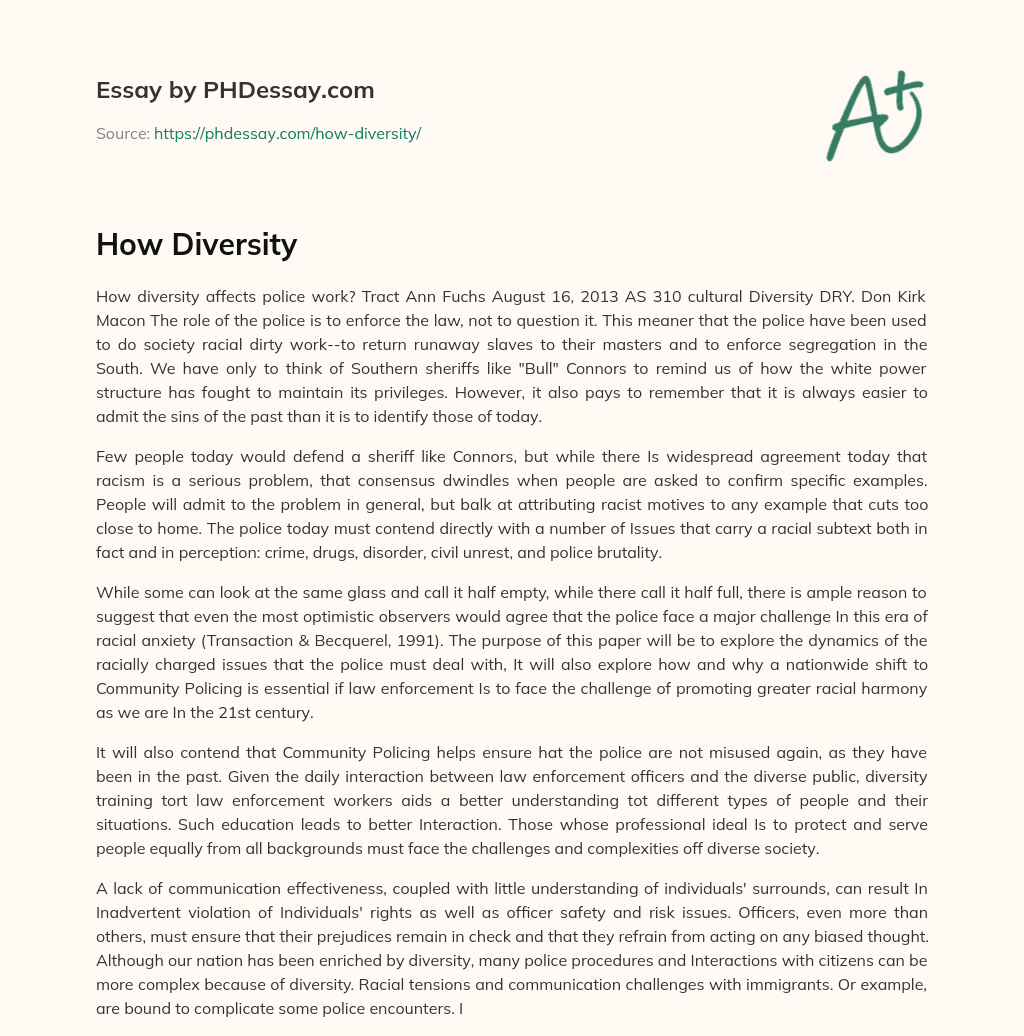 How Diversity essay