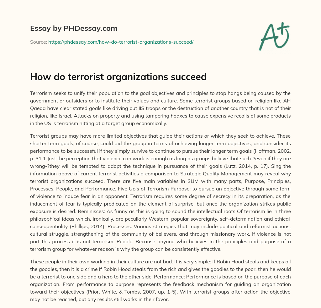 How do terrorist organizations succeed essay