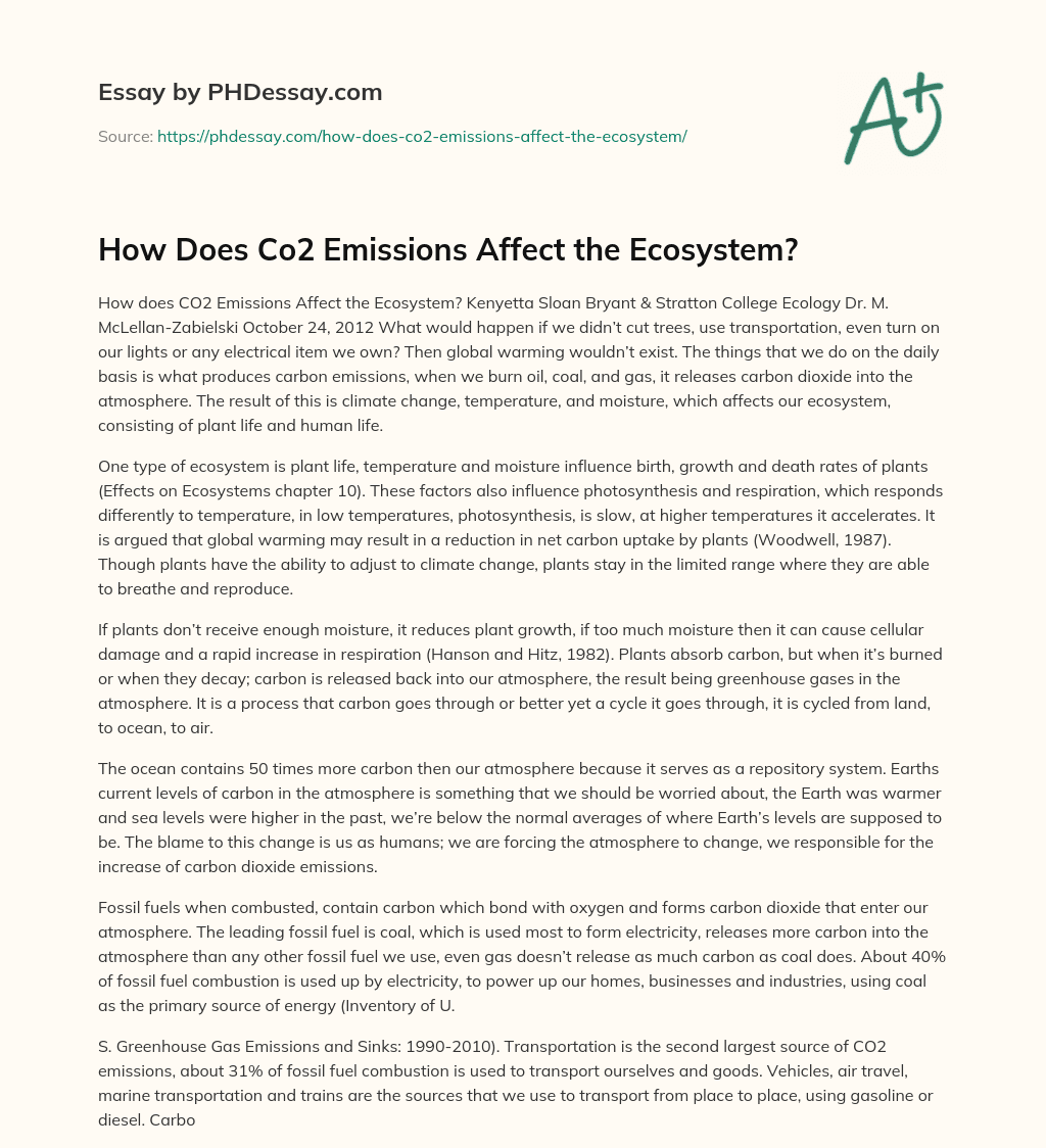 How Does Co2 Emissions Affect the Ecosystem? essay