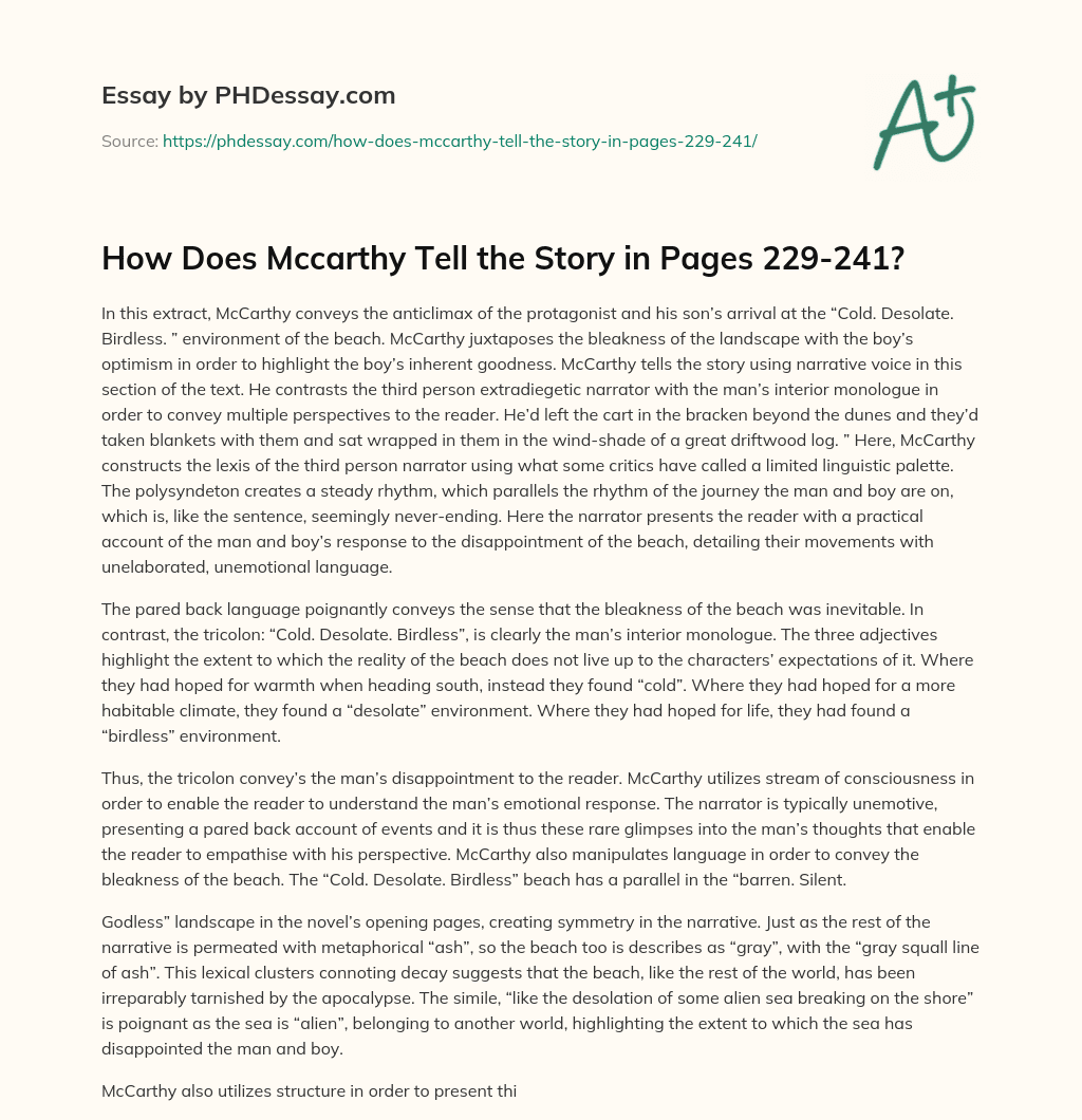 How Does Mccarthy Tell the Story in Pages 229-241? essay