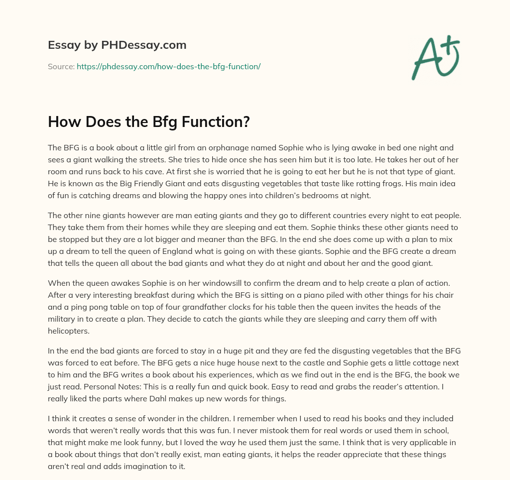 How Does the Bfg Function? essay