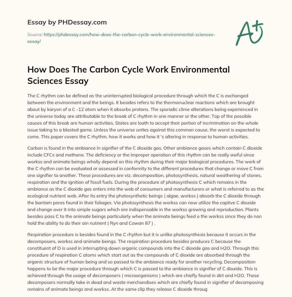 How Does The Carbon Cycle Work Environmental Sciences Essay essay