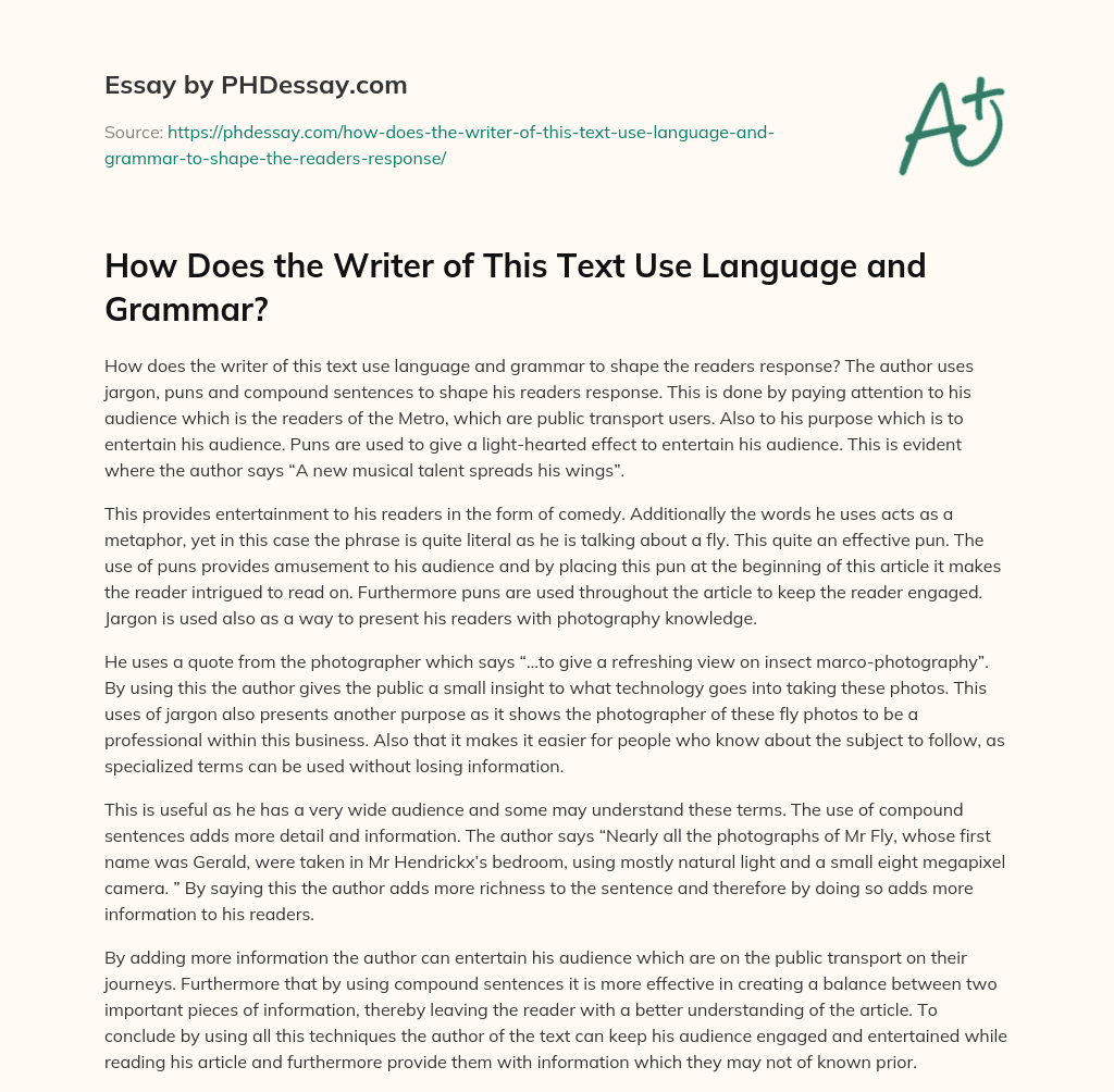 How Does the Writer of This Text Use Language and Grammar? essay