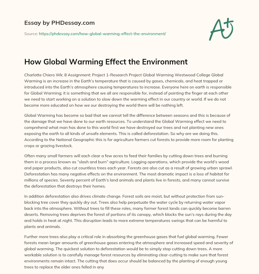 How Global Warming Effect the Environment essay