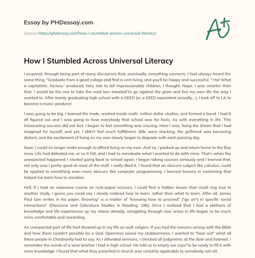 How I Stumbled Across Universal Literacy essay