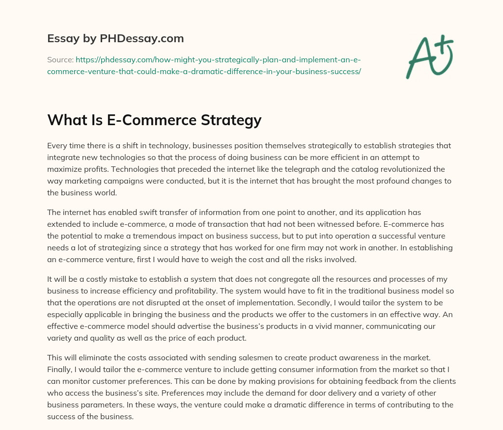 What Is E-Commerce Strategy essay