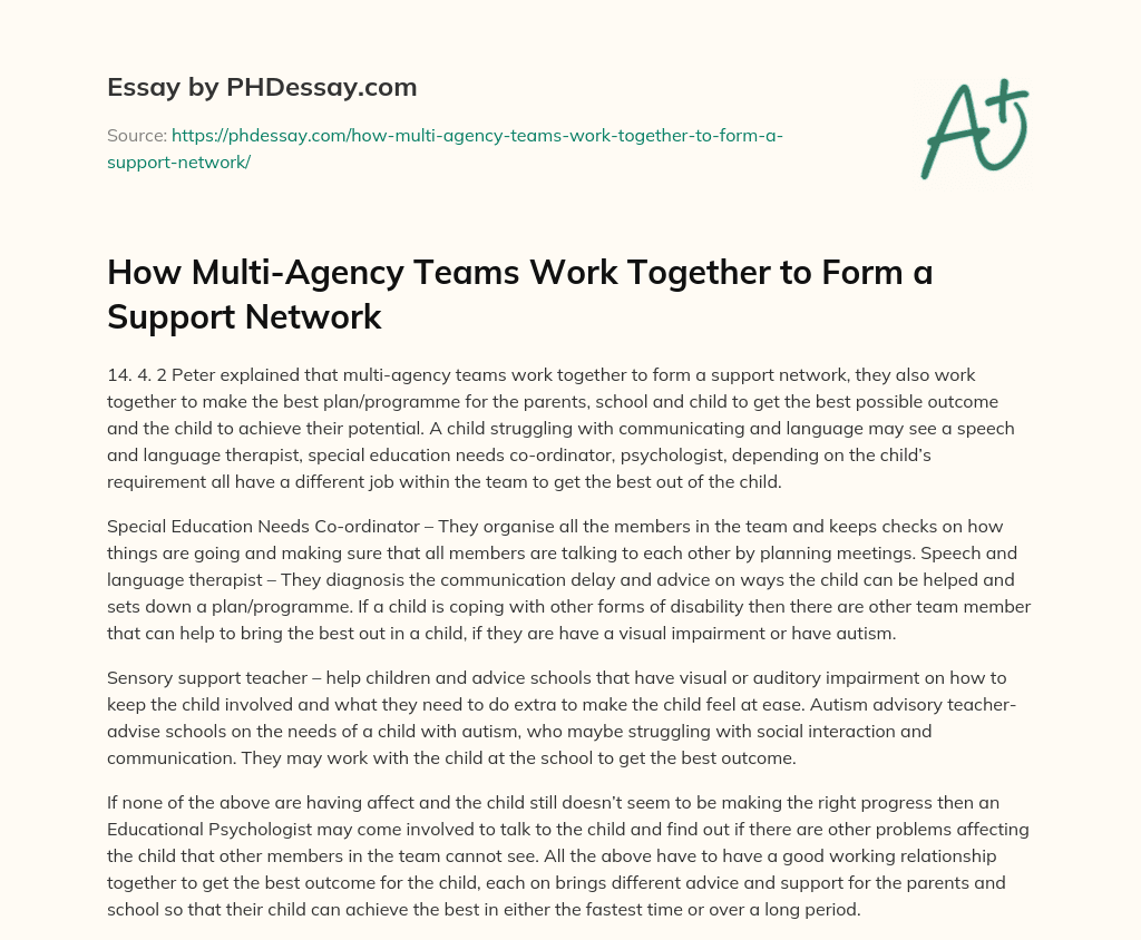How Multi-Agency Teams Work Together to Form a Support Network? essay