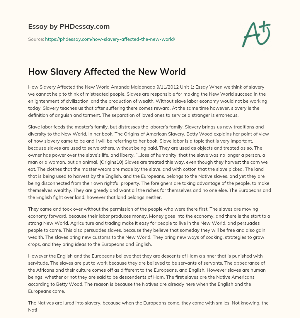 How Slavery Affected the New World essay