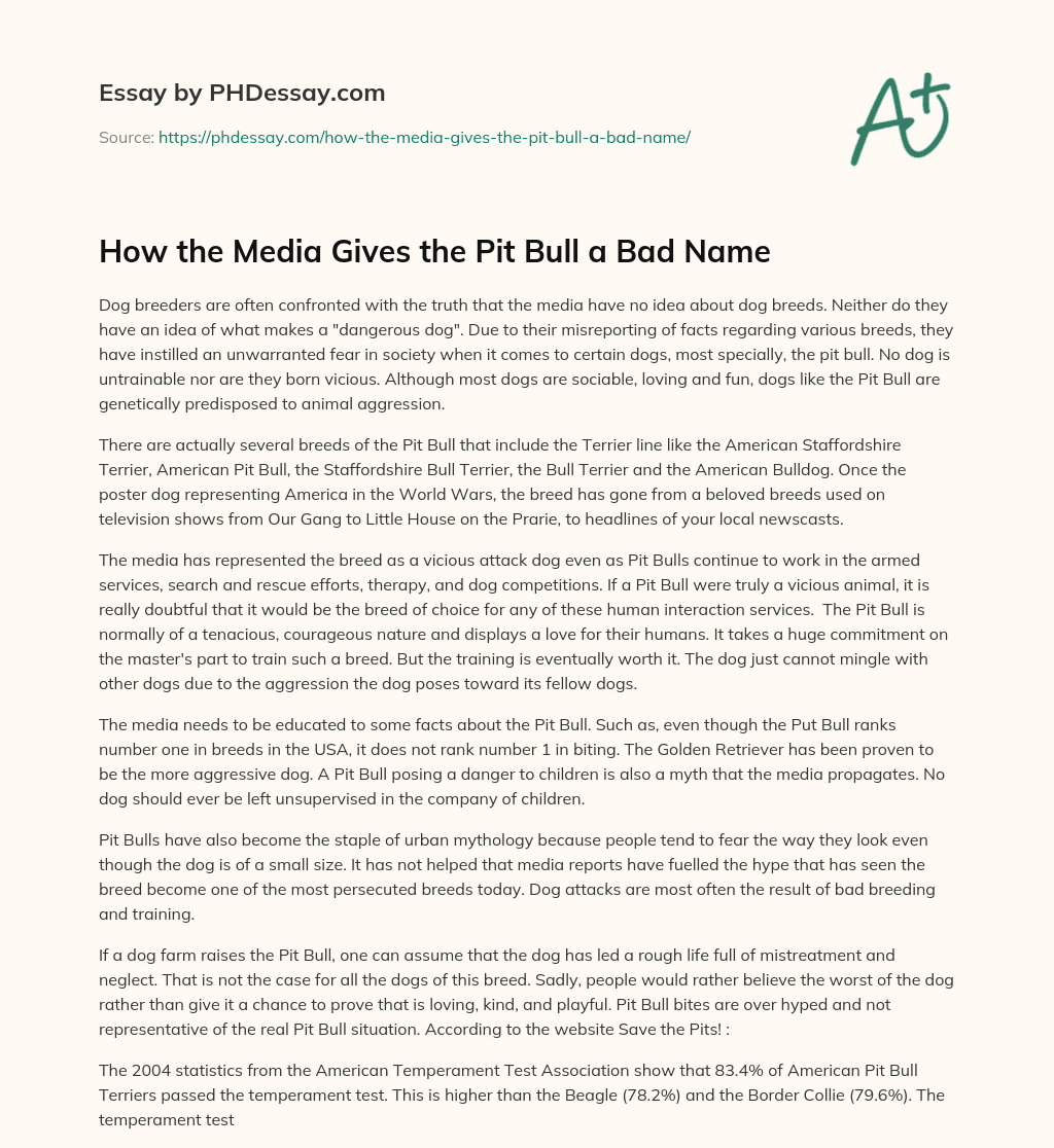 How the Media Gives the Pit Bull a Bad Name essay