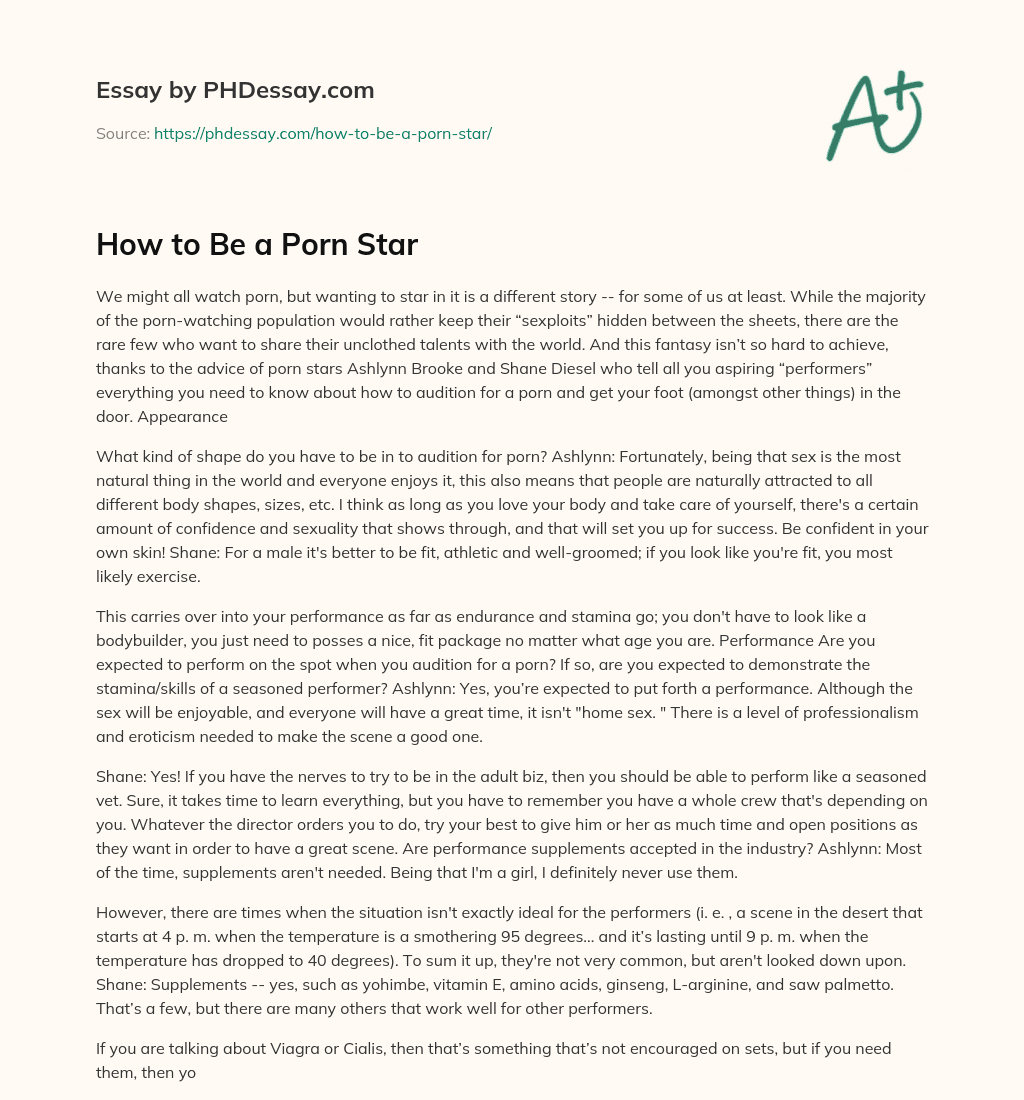 How to Be a Porn Star essay