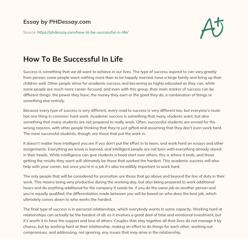 definition of successful life essay
