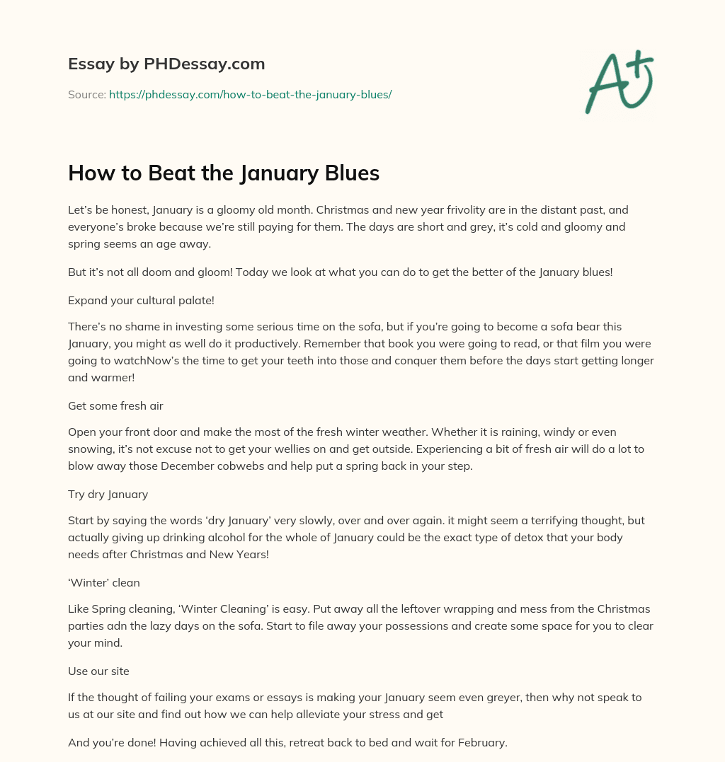 How to Beat the January Blues essay